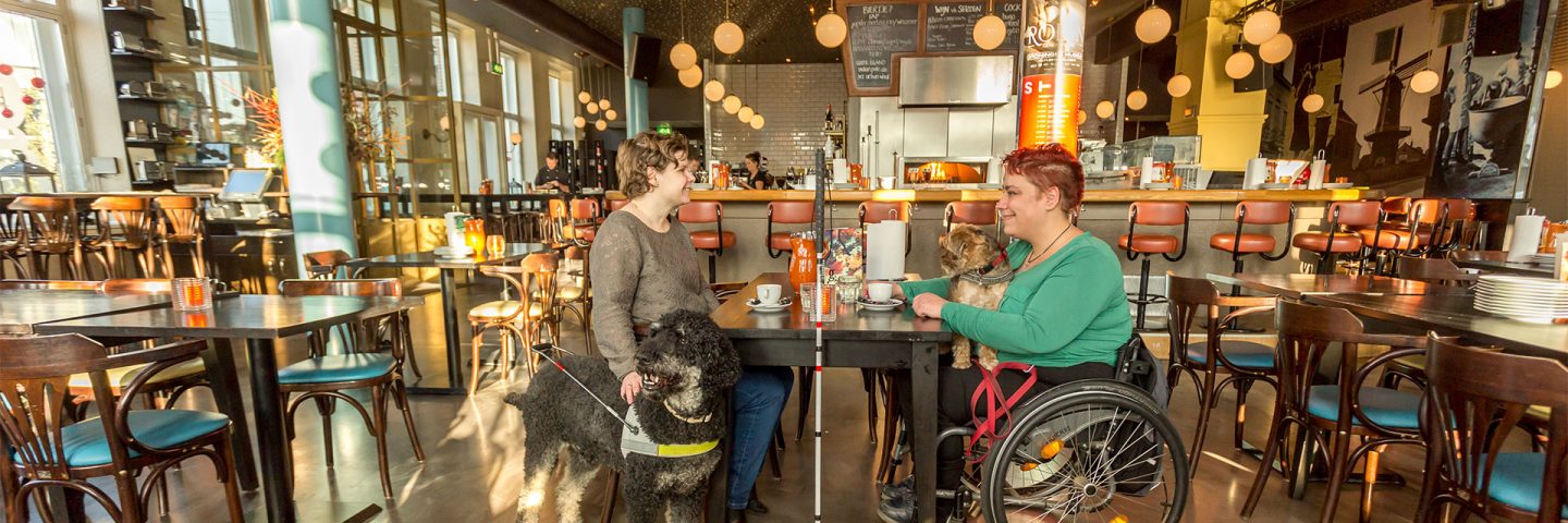 vrouw met blindegeleidehond en vrouw in rolstoel in café