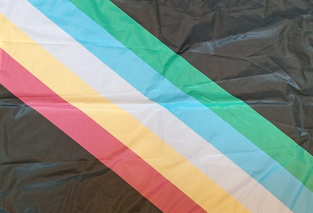 disability pride vlag